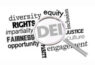 DEI in Politics