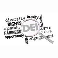 DEI in Politics