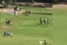 Pahalgam Attack