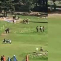 Pahalgam Attack