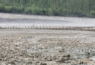 Floods in Ghizer